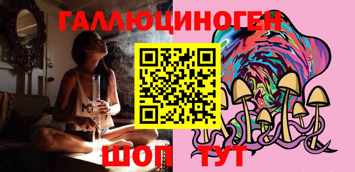 Галлюциногенные грибы Psilocybe Кимовск